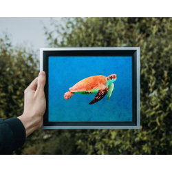 Turtle Swimming Watercolor Wall Art Print Turtle Swimming Watercolor Wall Art Print